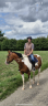 Castrone Paint Horse In vendita 2020 Pezzato