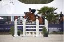 Cavalla Sella Francese In vendita 2012 Baio ,  EPSOM GESMERAY
