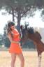 Intero PFS Pony Francese da Sella In vendita 2016 Pezzato