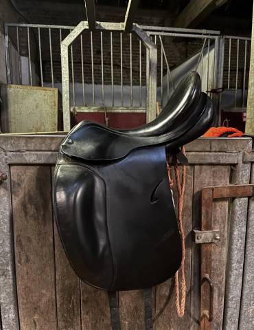 Sella da dressage Prestige Italia Selle de dressage  17" - 2022