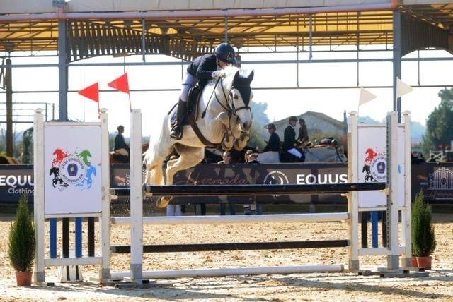 AFFITTO -  BARNACOGHIL DEXTER