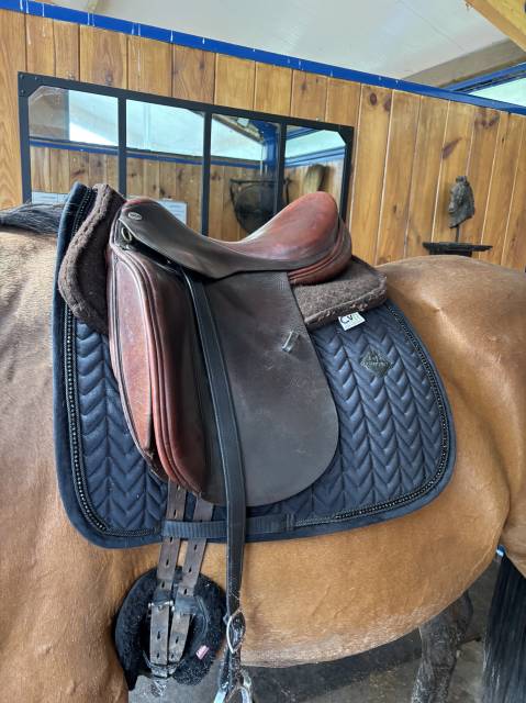 Sella da dressage  Cobra  17.5" - 2010