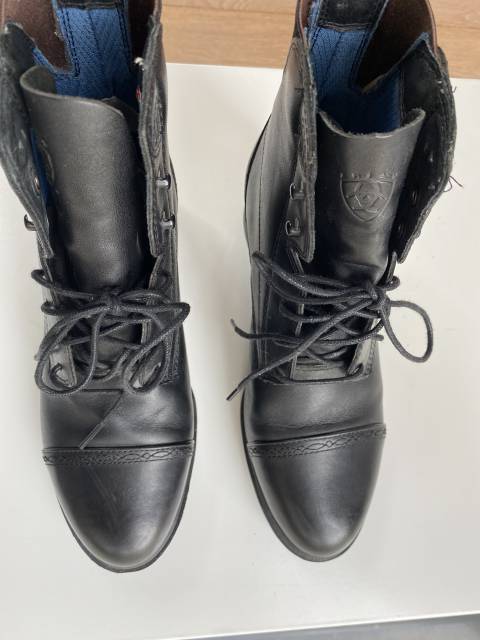  Ariat Occasione