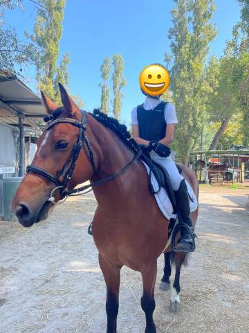 Vendesi pony 9 anni monta inglese 