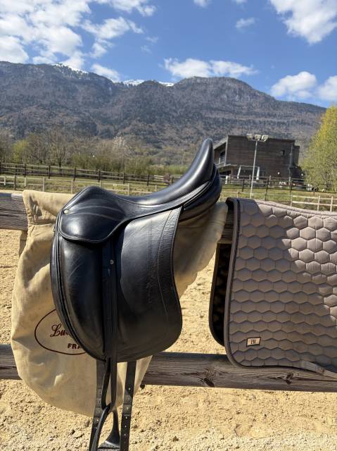 Sella da dressage Childeric  17.5" - 2020