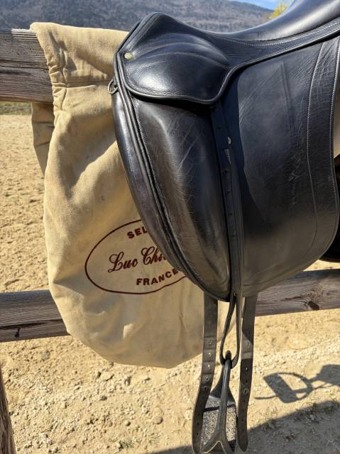 Sella da dressage Childeric  17.5" - 2020