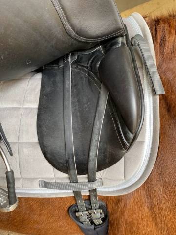 Sella da dressage Passier Optimum