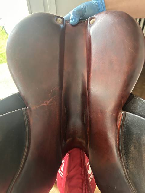 Sella mista CWD  17.5" - 2010