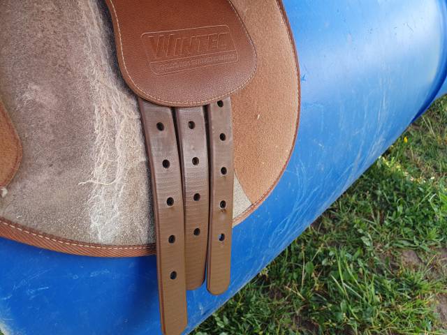 Sella da salto ostacoli Wintec  17.5" - 2016