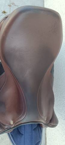 Sella mista  &Eacute;quiline dynamique  17" - 2014
