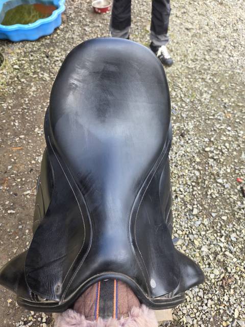 Sella da dressage Altair  17.5" - 2016