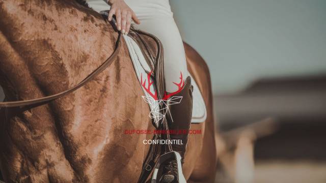 Propriet&agrave; equestre In vendita tarn