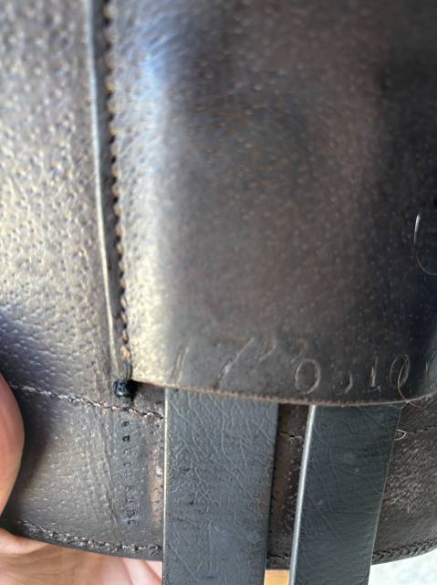 Sella da endurance   17" - 2022