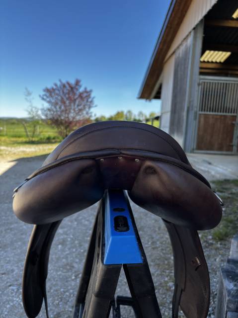 Sella da endurance   17" - 2022