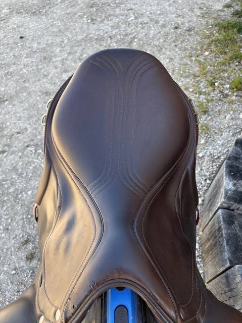 Sella da endurance   17" - 2022