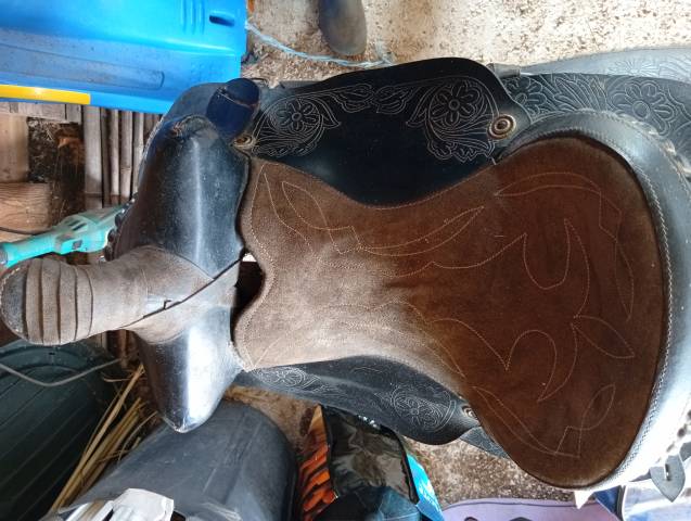 Sella western  Inconnu  17" - 1997