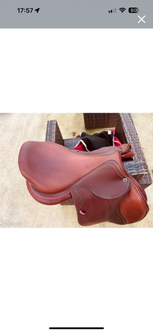 Sella mista CWD  18" - 2022