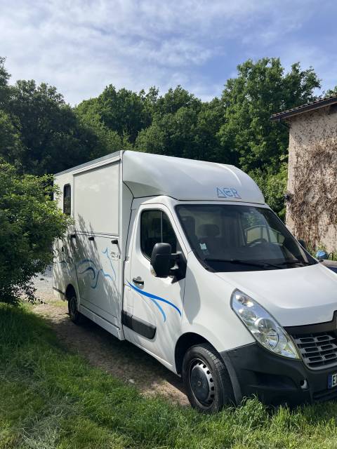 Van per Cavalli Renault Master 2018 Occasione