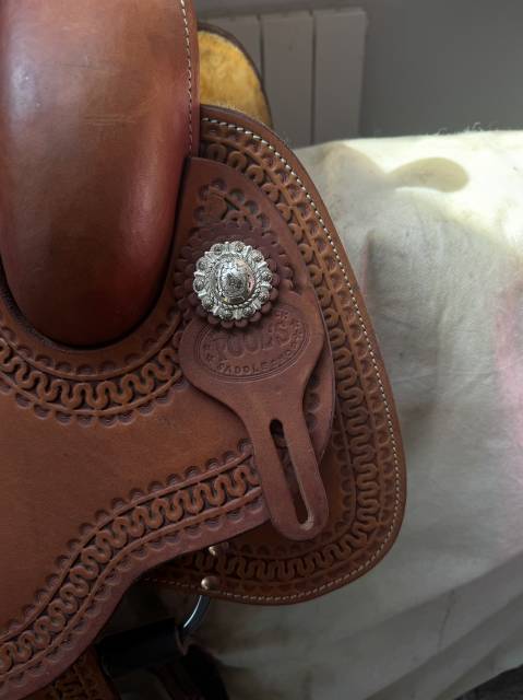 Sella western Pool's 2020 Reining 15" - 2025