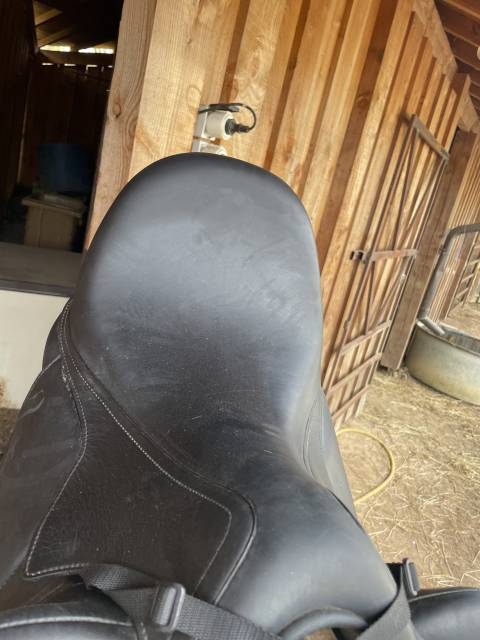 Sella da dressage Antar&egrave;s  17.5" - 2022