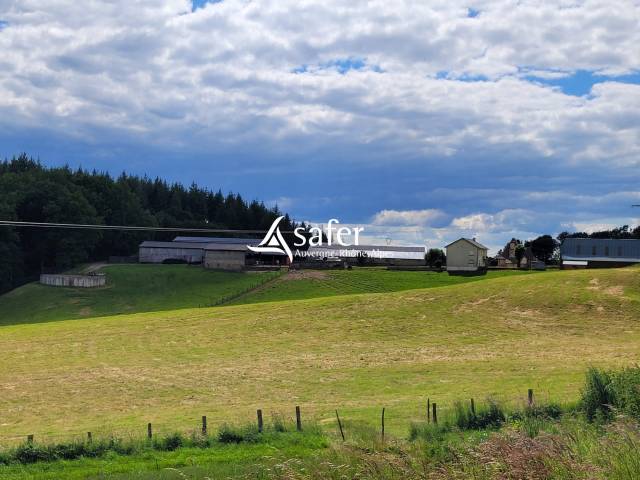 Azienda lattaia In vendita Cantal