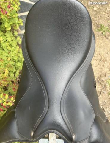 Sella mista Wintec  17" - 2020