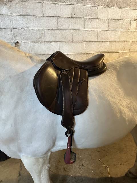 Sella mista Forestier  17.5" - 2022