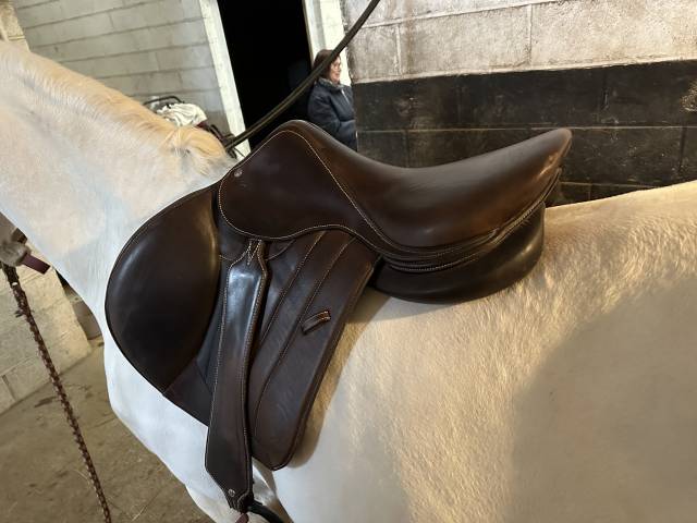 Sella mista Forestier  17.5" - 2022