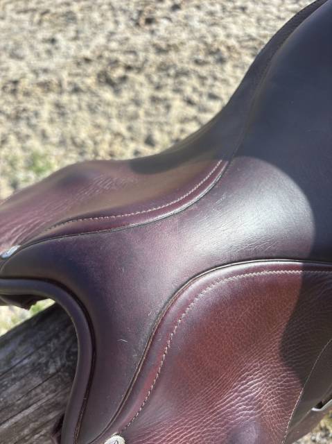 Sella mista Bates  17.5" - 2020