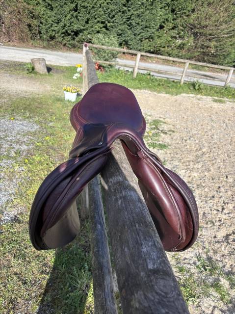 Sella mista Bates  17.5" - 2020
