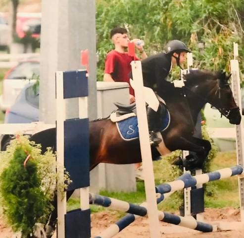 Pony