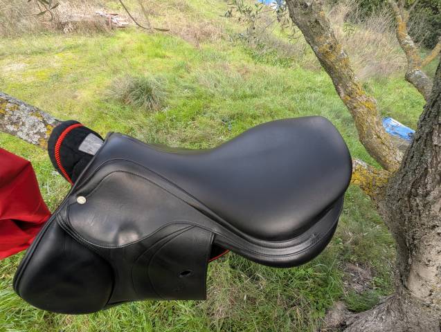 Sella da salto ostacoli Equipe  17.5" - 2023