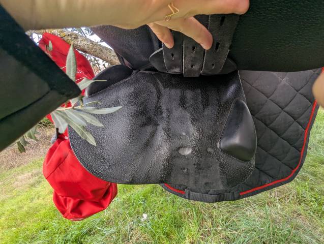 Sella da salto ostacoli Equipe  17.5" - 2023