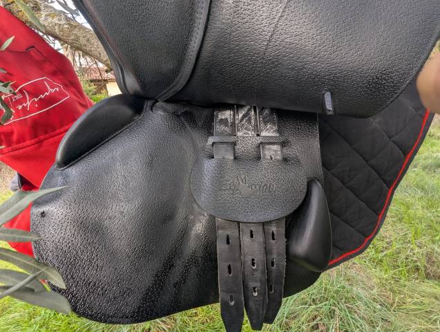 Sella da salto ostacoli Equipe  17.5" - 2023