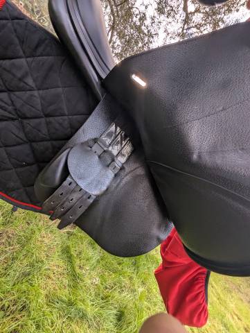 Sella da salto ostacoli Equipe  17.5" - 2023