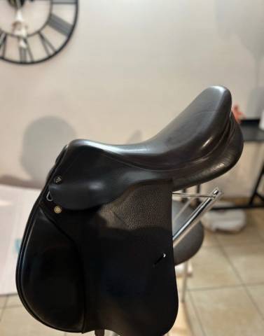 Sella da salto ostacoli Prestige Italia  17.5" - 2023