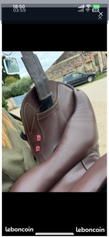 Sella mista Ikonic  16.5" - 2024