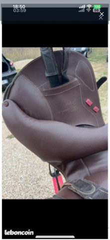 Sella mista Ikonic  16.5" - 2024