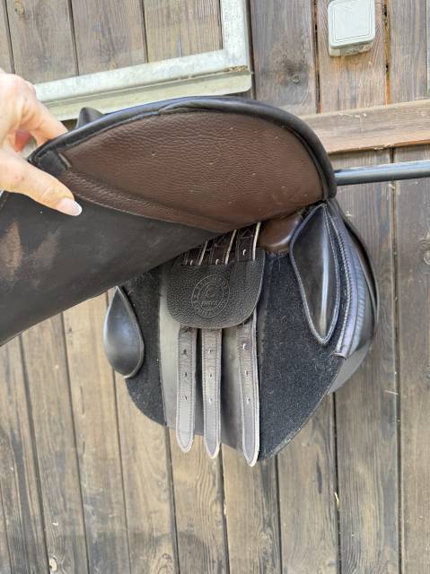 Sella mista Privil&egrave;ge Equitation  17.5" - 2024