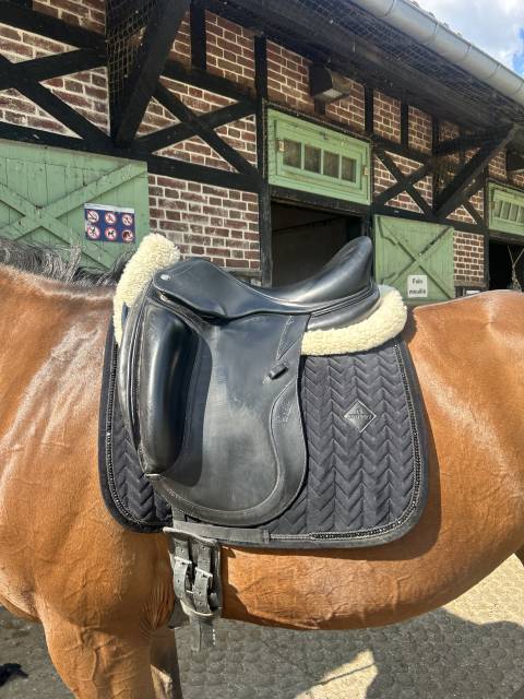 Sella da dressage CWD  17.5" - 2023