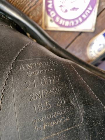 Sella da endurance Antar&egrave;s  16.5" - 2021