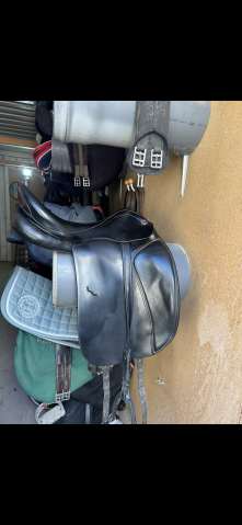 Sella da dressage Prestige Italia Hippos  17" - 2010