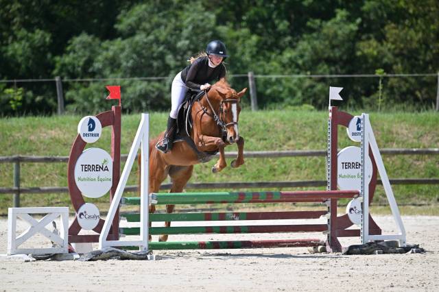Cavalla PFS Pony Francese da Sella In vendita 2022 Sauro
