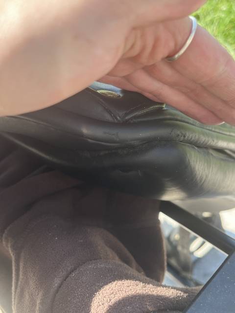 Sella da dressage Antar&egrave;s  18" - 2020