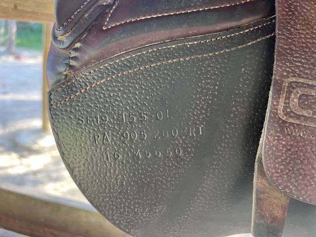 Sella da salto ostacoli CWD  15.5" - 2016