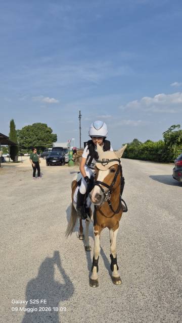 Principessa bella pony pezzata dolcissima.