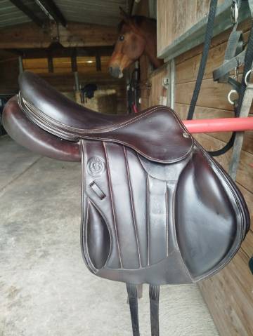 Sella mista Forestier  17.5" - 2022
