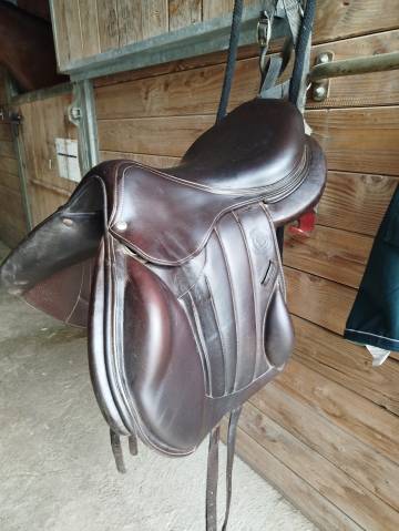 Sella mista Forestier  17.5" - 2022