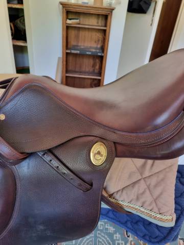 Sella mista Jean-Luc Maurel  17.5" - 2021
