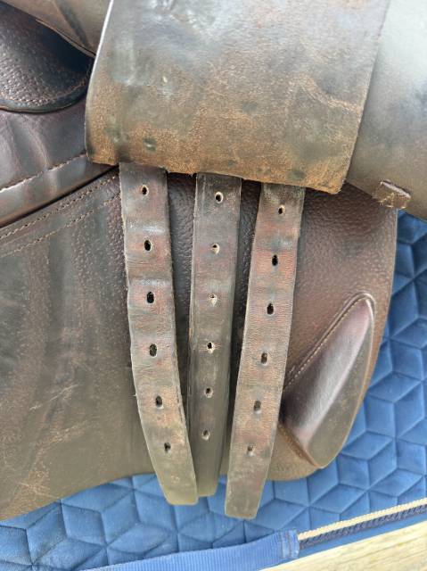 Sella da salto ostacoli CWD  17.5" - 2017